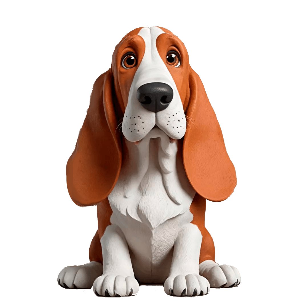 Basset Hound
