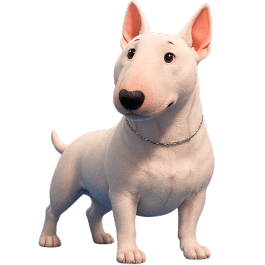 Bull Terrier